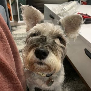 Meet your Posher, Mandy